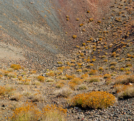 Similar image 10503898