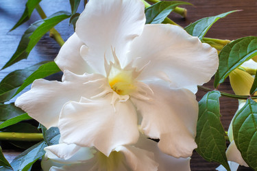 Similar image 10503915