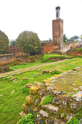 Similar image 10503952