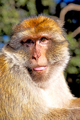 Similar image 10503969