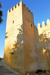 Similar image 10503970