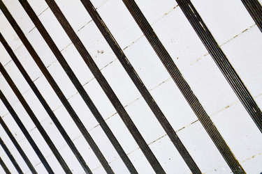 Similar image 10503972