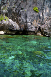 Similar image 10503992