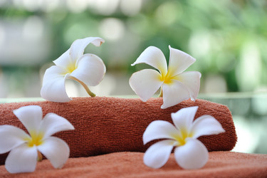 Similar image 10504155