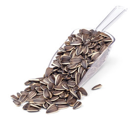 Similar image 10504164