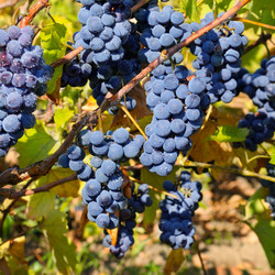 Similar image 10504361