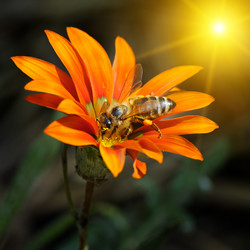 Similar image 10504369