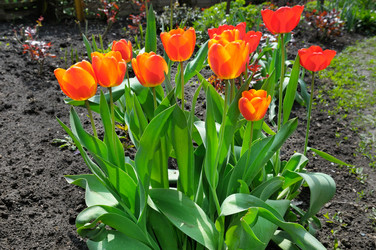 Similar image 10504393