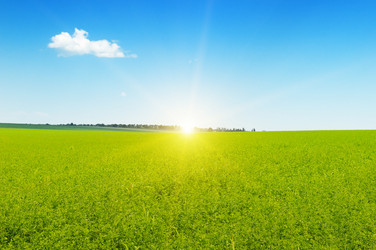 Similar image 10504398