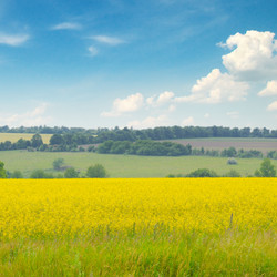 Similar image 10504437