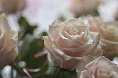 Similar image 10505255