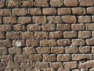 Similar image 10506561