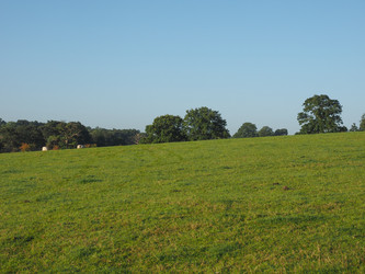 Similar image 10506568