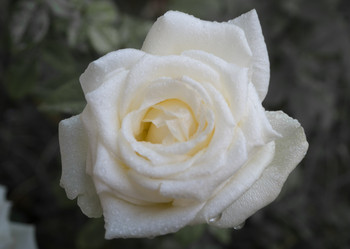 Similar image 10506674