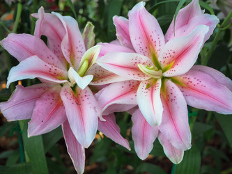 Similar image 10506689