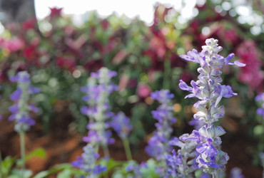 Similar image 10506691