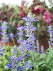 Similar image 10506692