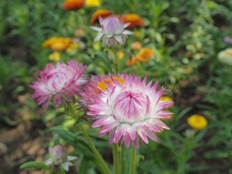 Similar image 10506693