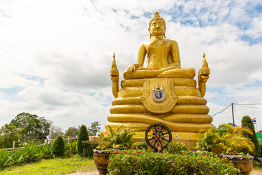 Similar image 10506696