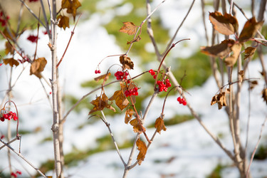 Similar image 10506701