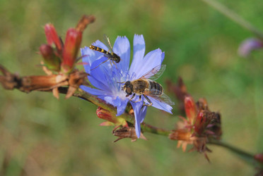 Similar image 10506712