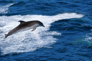 Similar image 10506747