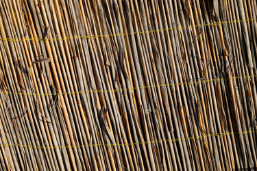 Similar image 10506774