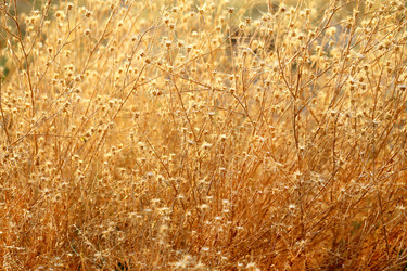 Similar image 10506775