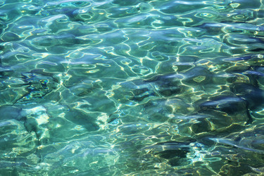 Similar image 10506779