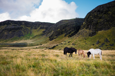 Similar image 10506814