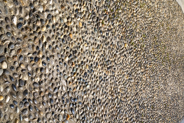 Similar image 10506886