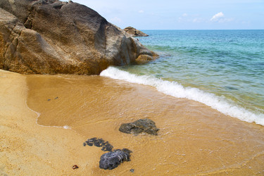 Similar image 10506917