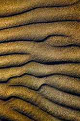 Similar image 10506919