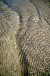 Similar image 10506924