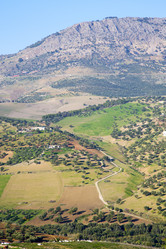 Similar image 10506935