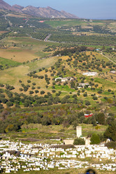 Similar image 10506936