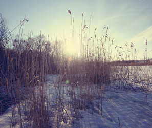 Similar image 10507099