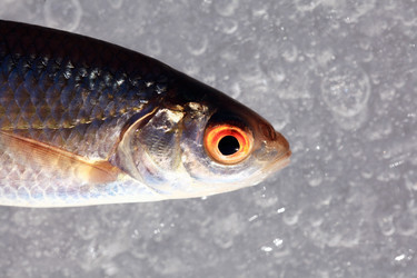 Similar image 10507113