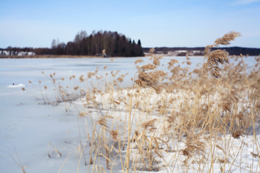 Similar image 10507115