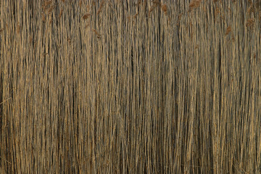 Similar image 10507119