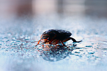 Similar image 10507123