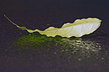 Similar image 10507125