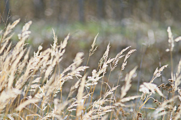 Similar image 10507164