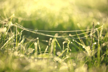 Similar image 10507250