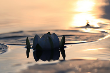 Similar image 10507257