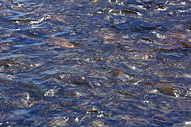 Similar image 10507261