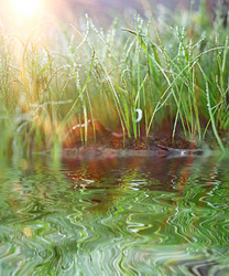 Similar image 10507263