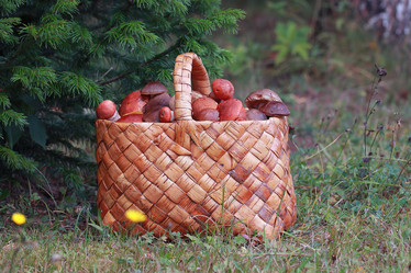 Similar image 10507276