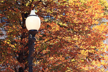 Similar image 10507288