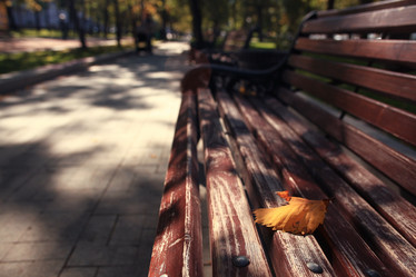 Similar image 10507289